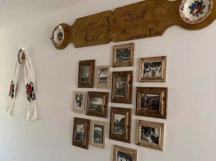 田舎風ホテル Pensiunea Simi