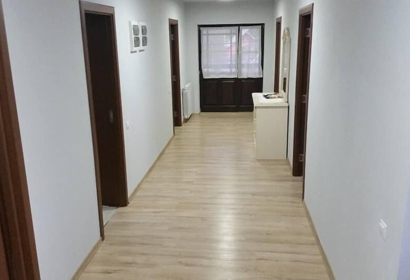 هتل روستایی Pensiunea Simi