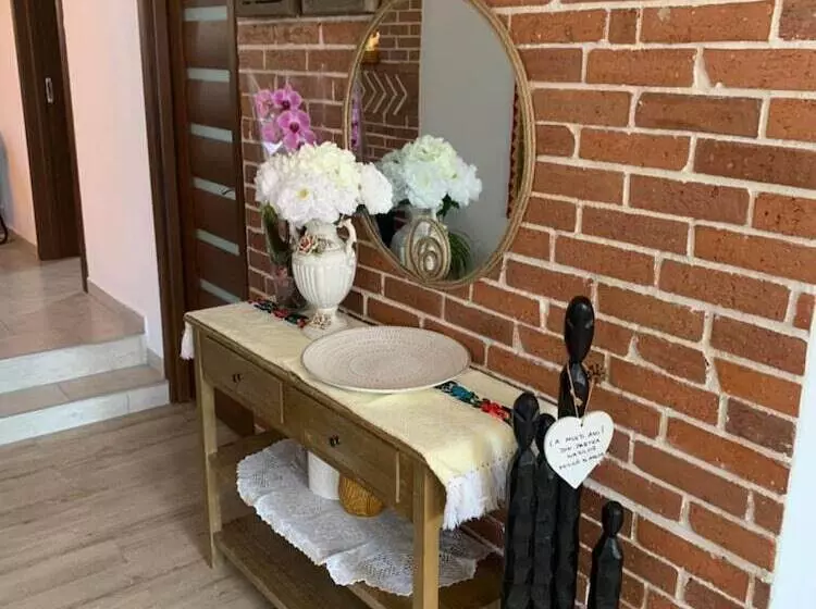 田舎風ホテル Pensiunea Simi