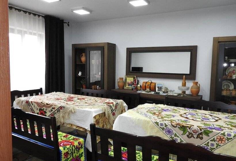 هتل روستایی Pensiunea Simi