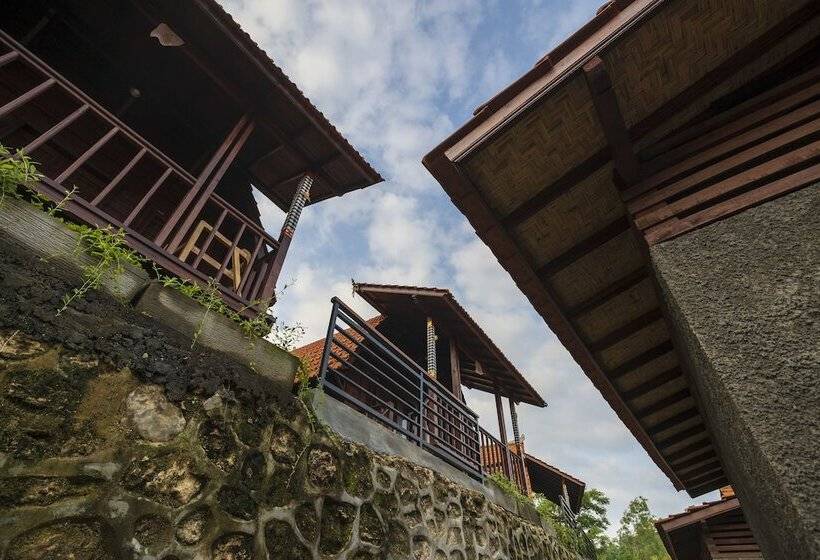 호텔 Star Semabu Resort