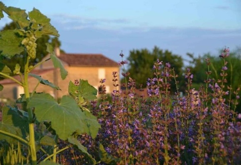 بنسيون Chambres D Hotes La Mazraa