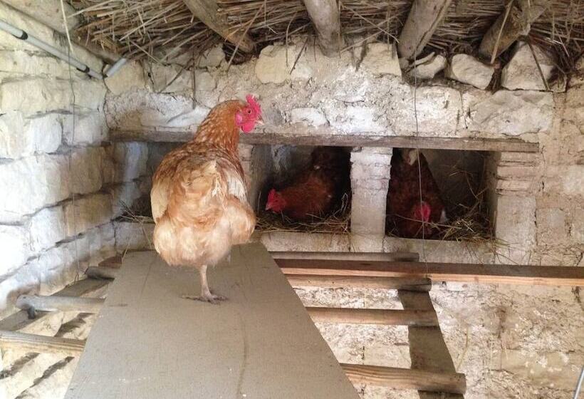 بنسيون Chambres D Hotes La Mazraa