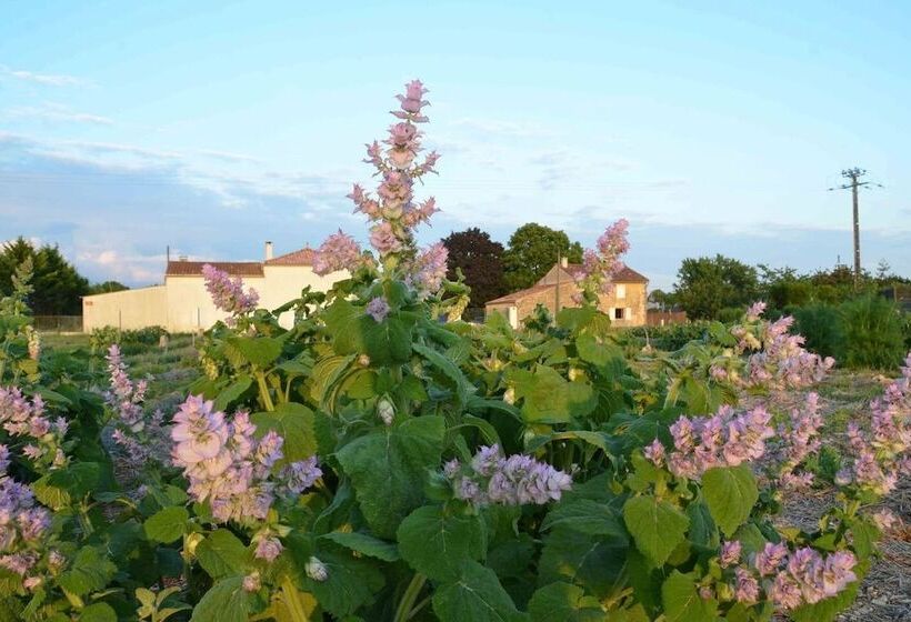 بنسيون Chambres D Hotes La Mazraa