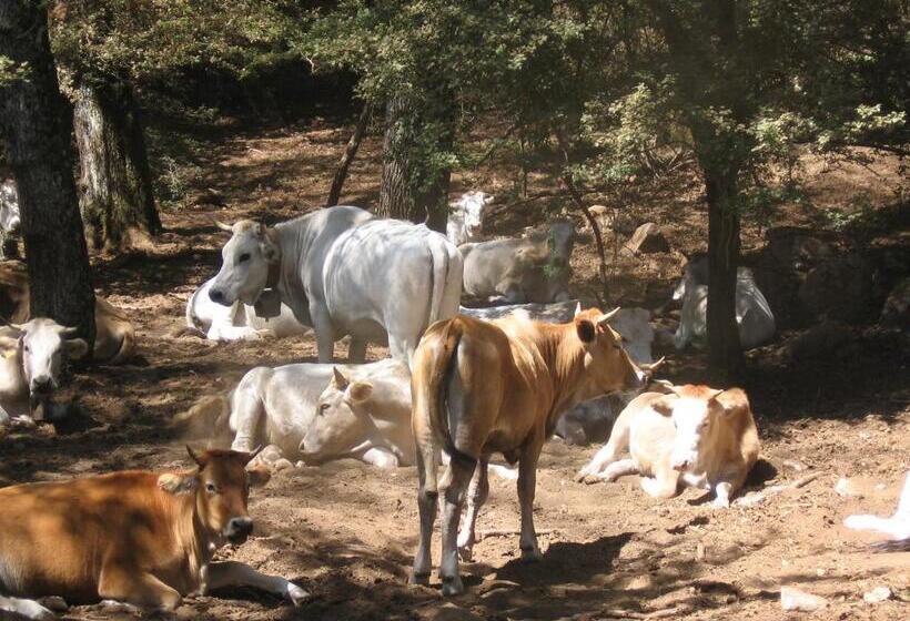 פנסיון Immersi Nella Natura