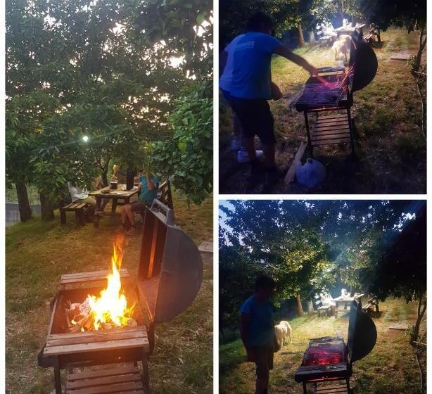 פנסיון Immersi Nella Natura