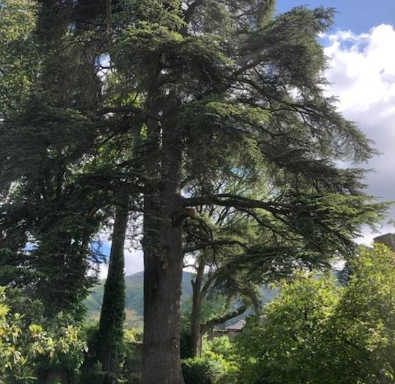 펜션 Chambres Et Table D Hôtes La Billebaude