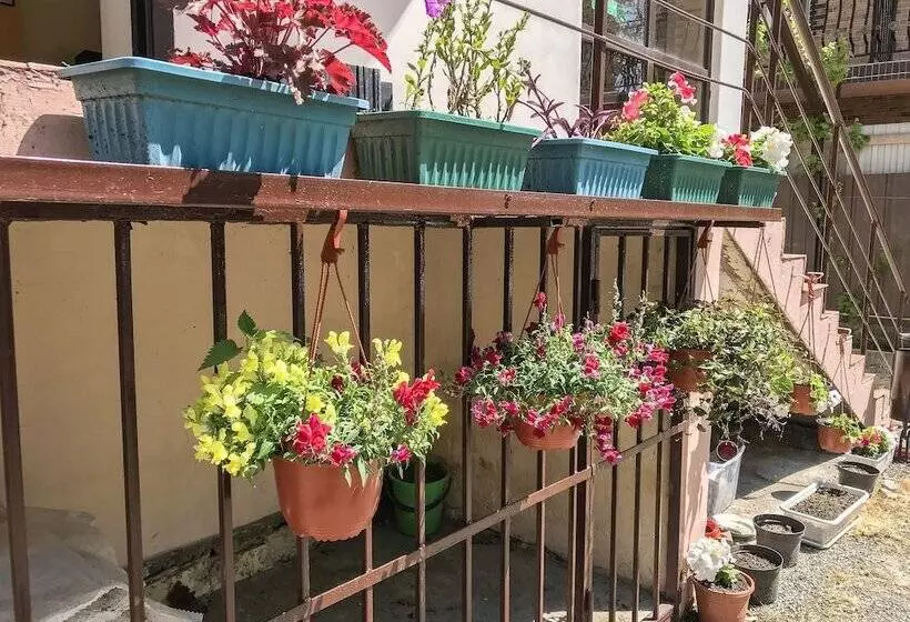 Lomakeskus Smile Hotels