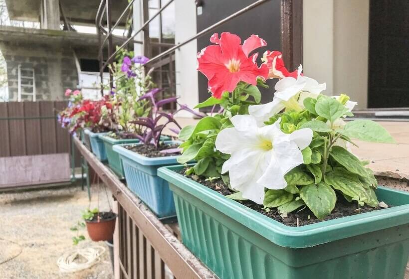 استراحتگاه Smile Hotels