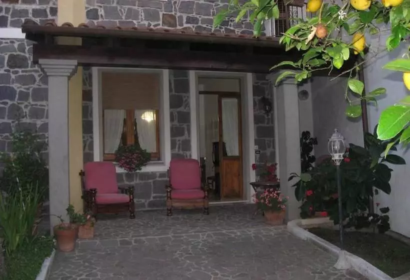 B&b Frore