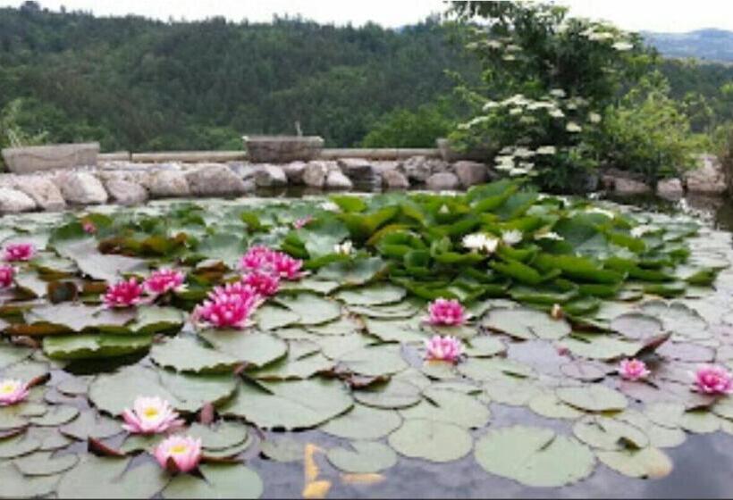 Bed and Breakfast Chambres D Hôtes De Malvalette