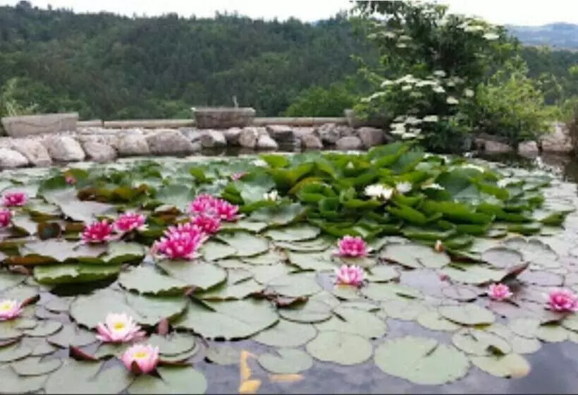 Aamiaismajoitus (B&B) Chambres D Hôtes De Malvalette