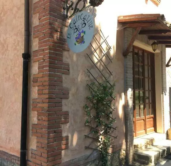 B&b Calecatine
