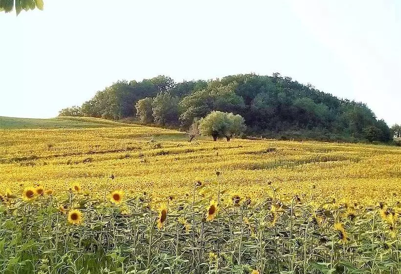 Aamiaismajoitus (B&B) Mansarda Viti