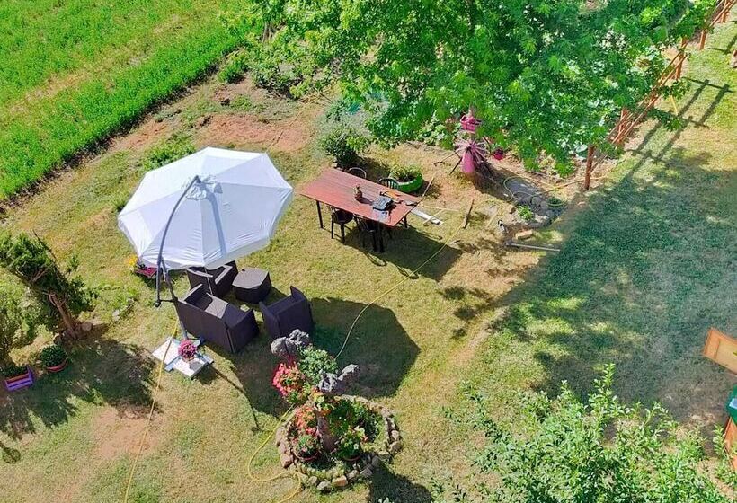 צימר Mansarda Viti