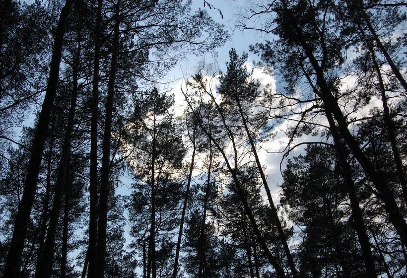 酒店 Club Of Active Recreation Action