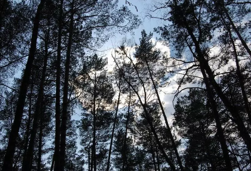 ホテル Club Of Active Recreation Action