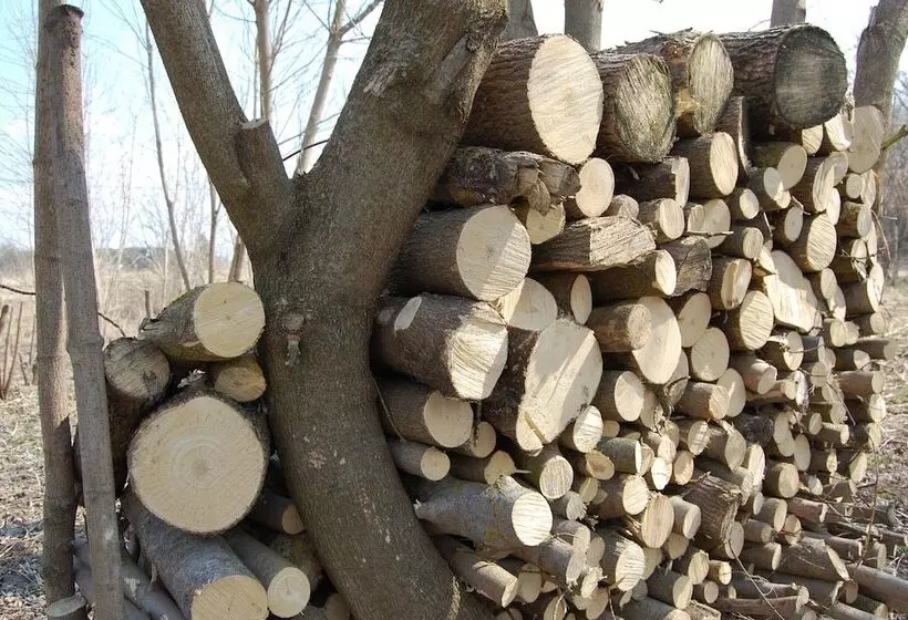 ホテル Club Of Active Recreation Action