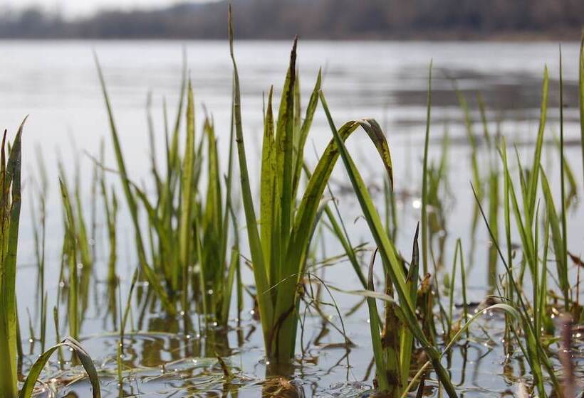 酒店 Club Of Active Recreation Action