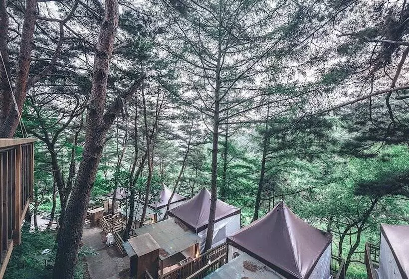 Hotelli Couplestar In Forest Glamping