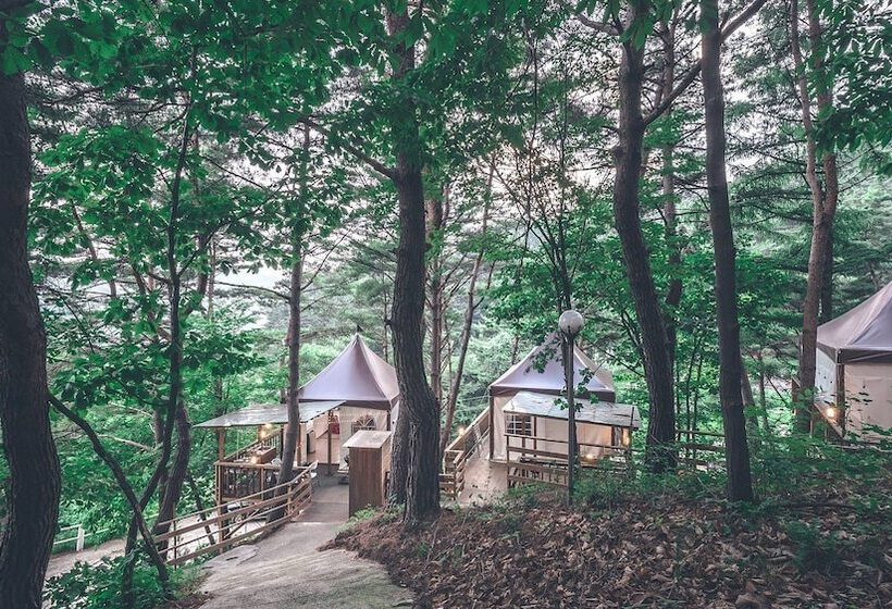 酒店 Couplestar In Forest Glamping