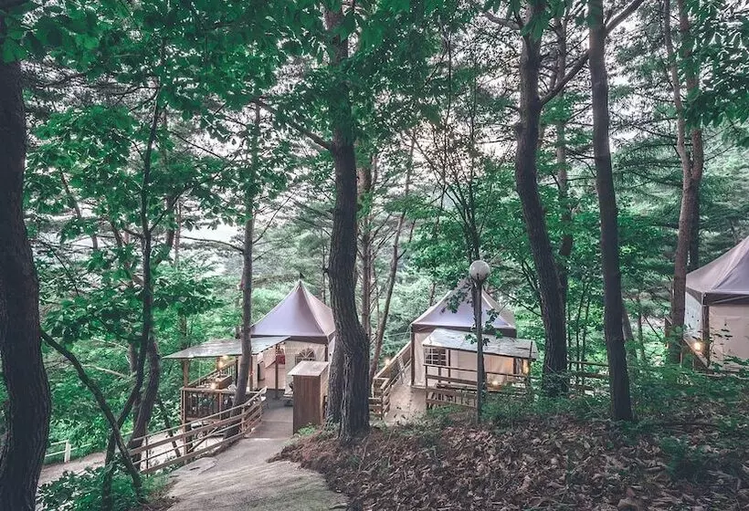Hotelli Couplestar In Forest Glamping