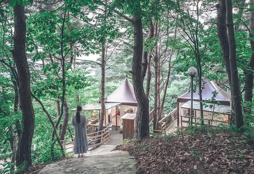 Hotelli Couplestar In Forest Glamping