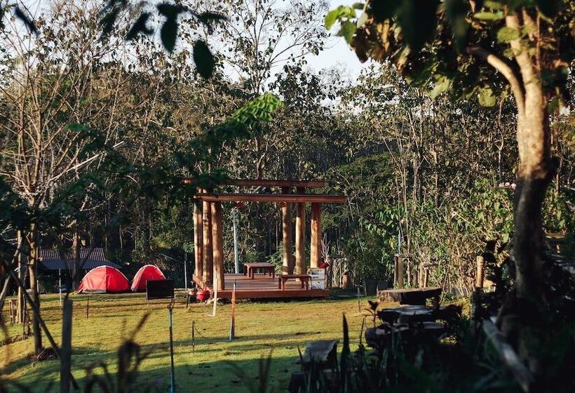 فندق The Nanda Resort