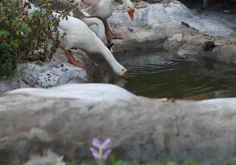 Hotelli The Nanda Resort