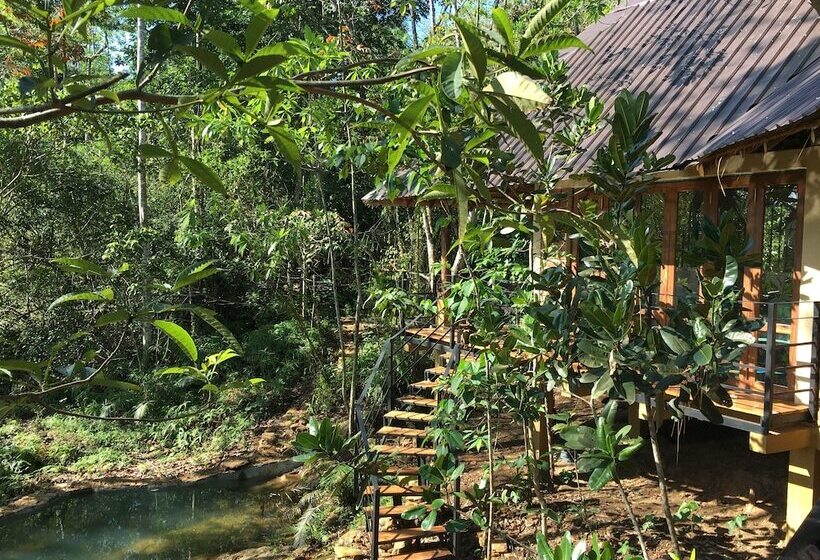 Pension Rambas Reserve