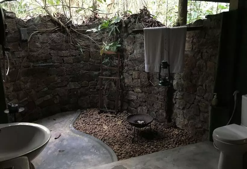 Majatalo Rambas Reserve