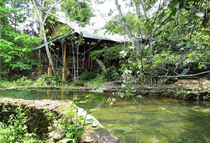 Pension Rambas Reserve