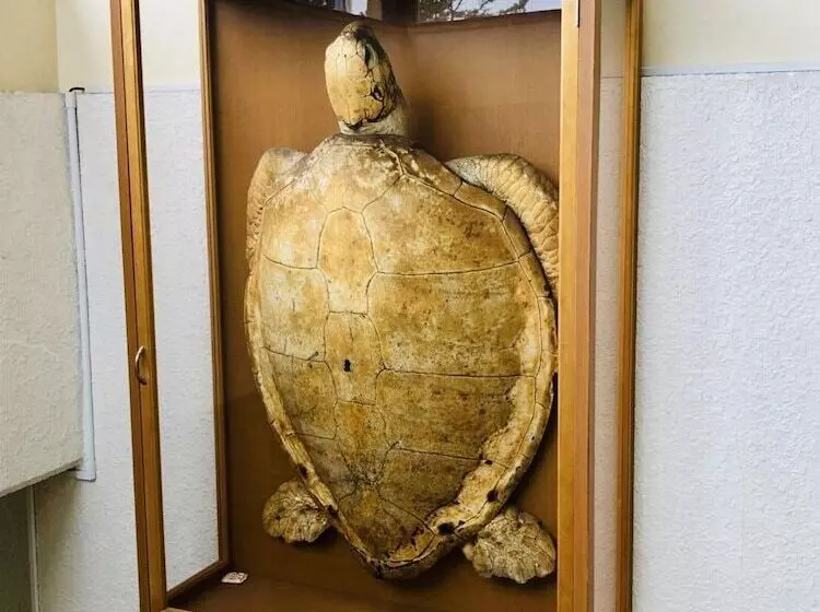 Majatalo Takamasu Minshuku