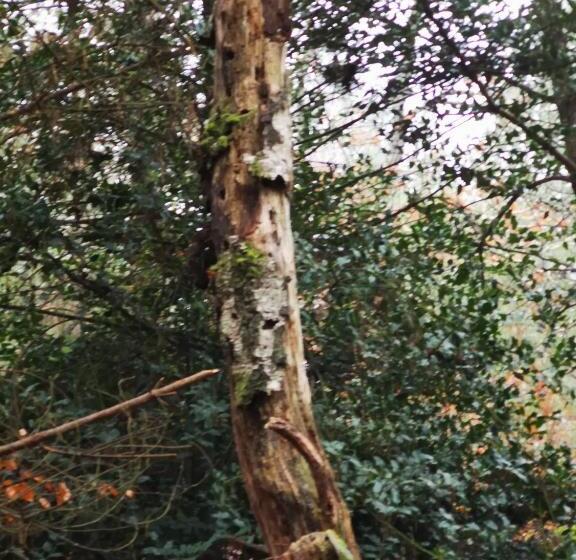 펜션 Villa Le Cloky