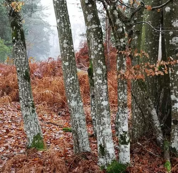 Majatalo Villa Le Cloky