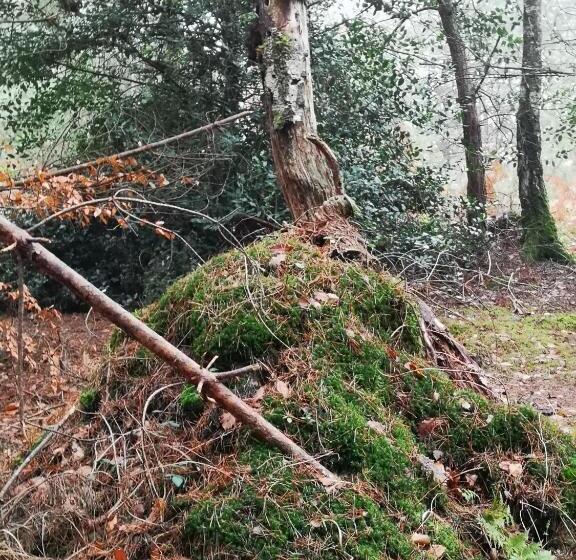 펜션 Villa Le Cloky