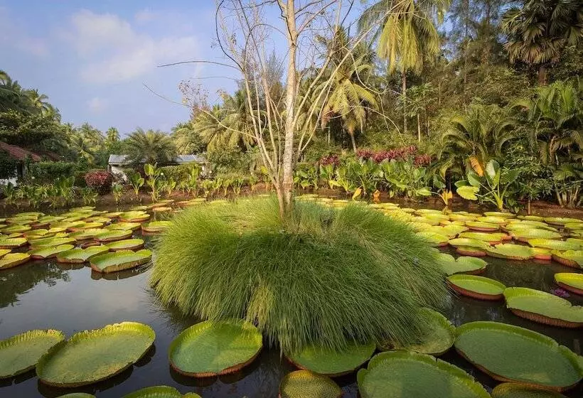 リゾートホテル Rvr Sarovar Portico Dindi