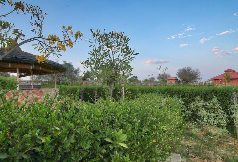 渡假胜地  The Imperial Farm Retreat Jaipur   A Weekend Gateway