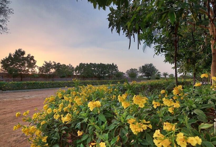 渡假胜地  The Imperial Farm Retreat Jaipur   A Weekend Gateway