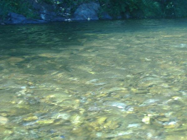 Au Mas Des Sources Cevenol