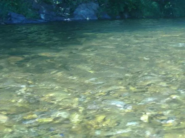 Au Mas Des Sources Cevenol