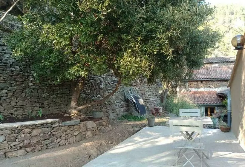 Au Mas Des Sources Cevenol