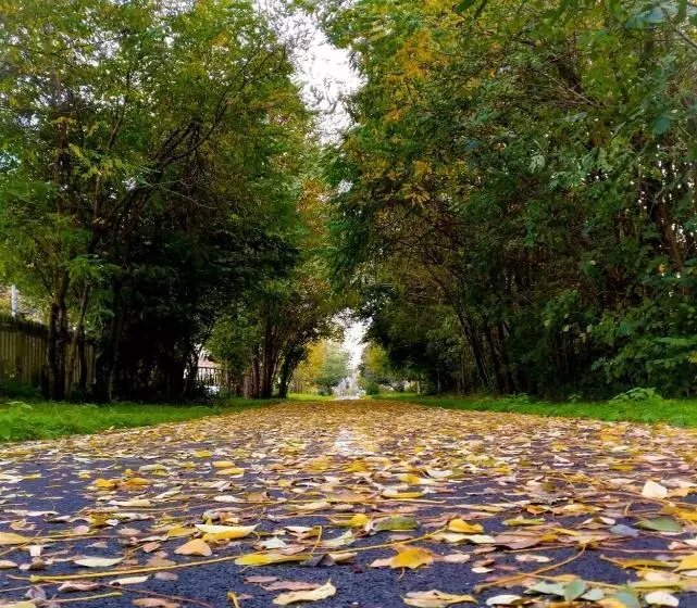 Aamiaismajoitus (B&B) Binario 9 3/4