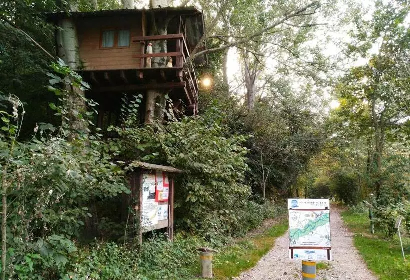 Aamiaismajoitus (B&B) Binario 9 3/4