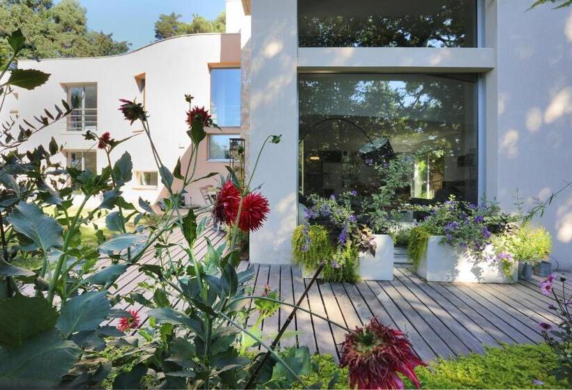 צימר Chambres En Vue   Chambres D Hôtes