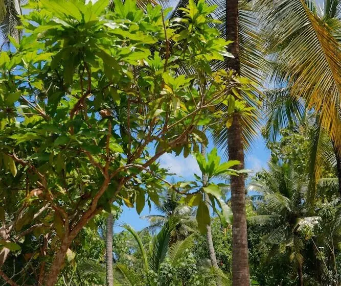 Hotelli Dangin Kubu Bungalow