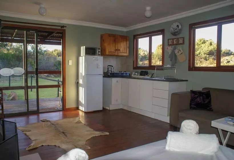 Hotelli Riverman Cabin