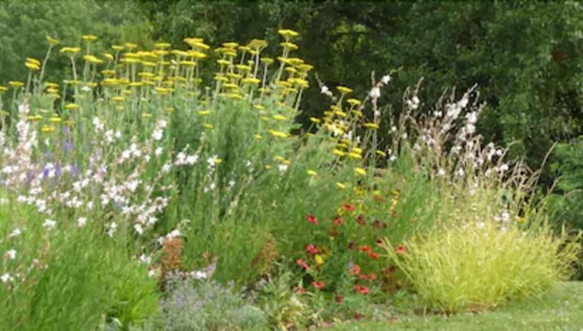田舎風ホテル Le Jardin De Beyssin