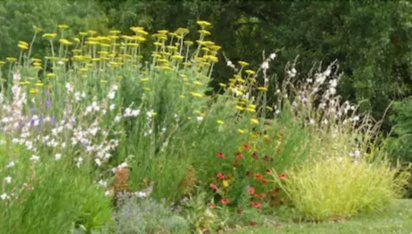 田舎風ホテル Le Jardin De Beyssin