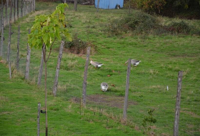 פנסיון Domaine De Chez Peyraud
